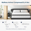 Queen Mattress, Holaki 10 Inch Queen Size Hybrid Memory Foam Mattress in a Box, Individually Wrapped Pocket Springs Mattress, Medium Firm Mattress for Pressure Relief, Strong Edge Support