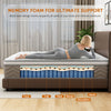 Queen Mattress, Holaki 12 Inch Queen Gel Memory Foam Hybrid Mattress in a Box, Upgrade Individually Pocket Springs, Medium Firm, Pressure Relief, Breathable Comfort and Durable, CertiPUR-US, Brown