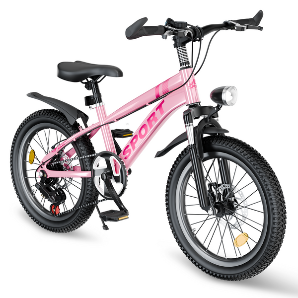 20 Inch Kids Boys Girls Bike for 8-13 Years Old, Kids Bicycle Adjustable Seat with Basket, Training Wheels & Handbrake for Birthday Gift