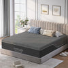 Queen Mattress, Holaki 12" Memory Foam Mattress Queen Size Bed in a Box, Green Tea Bamboo Charcoal Gel Foam with Removable Cover for Pressure Relief, Medium Firm, CertiPUR-US Certified