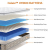 12 Inch Queen Size Mattress, Holaki Hybrid Memory Foam Mattress in a Box with Pocket Springs for Cool Night & Pressure Relief, Queen Mattress Medium Firm, CertiPUR-US & OEKO-TEX