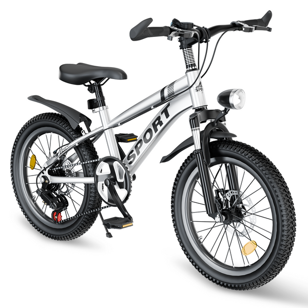20 Inch Kids Boys Girls Bike for 8-13 Years Old, Kids Bicycle Adjustable Seat with Basket, Training Wheels & Handbrake for Birthday Gift