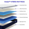 Full Mattress, Holaki 10" New Memory Foam Hybrid Full Mattress in a Box, Cool Individual Pocket Spring for Sleep Supportive & Pressure Relief, Full Size Medium Firm Mattress, CertiPUR-US